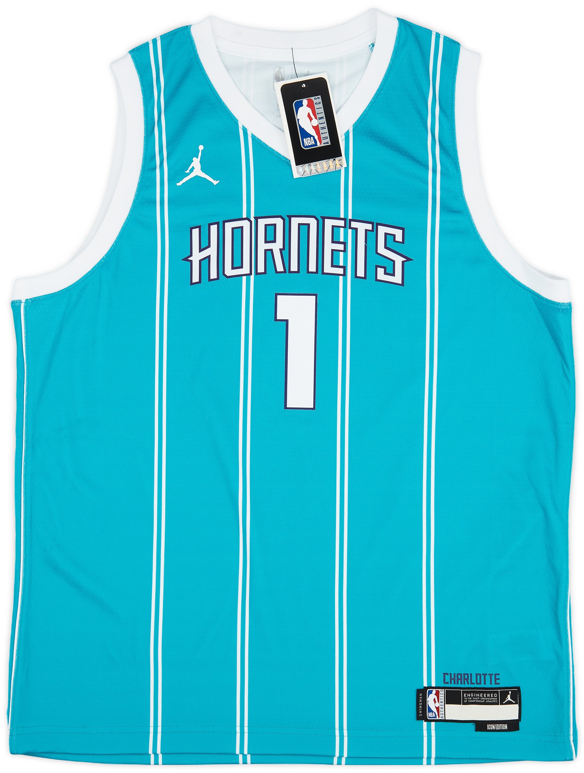 Nike Charlotte Hornets Icon Edition 2022/23 Jordan Dri-FIT NBA