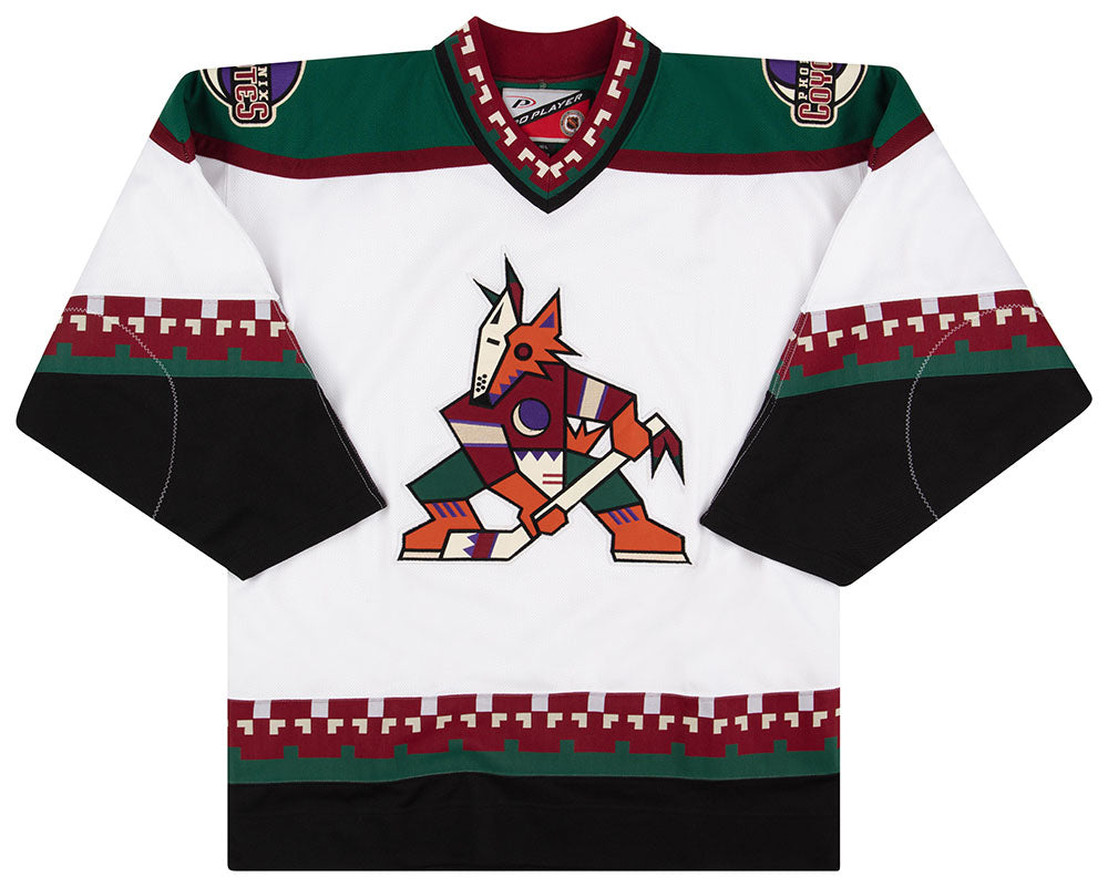 Phoenix Coyotes Sweatshirt 90s NHL Sweatshirt Hockey Sports Long
