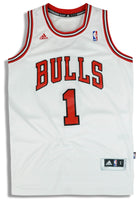 Bulls 1 Derrick Rose Grey Whith Black Strip Revolution 30 Swingman NBA Jerseys